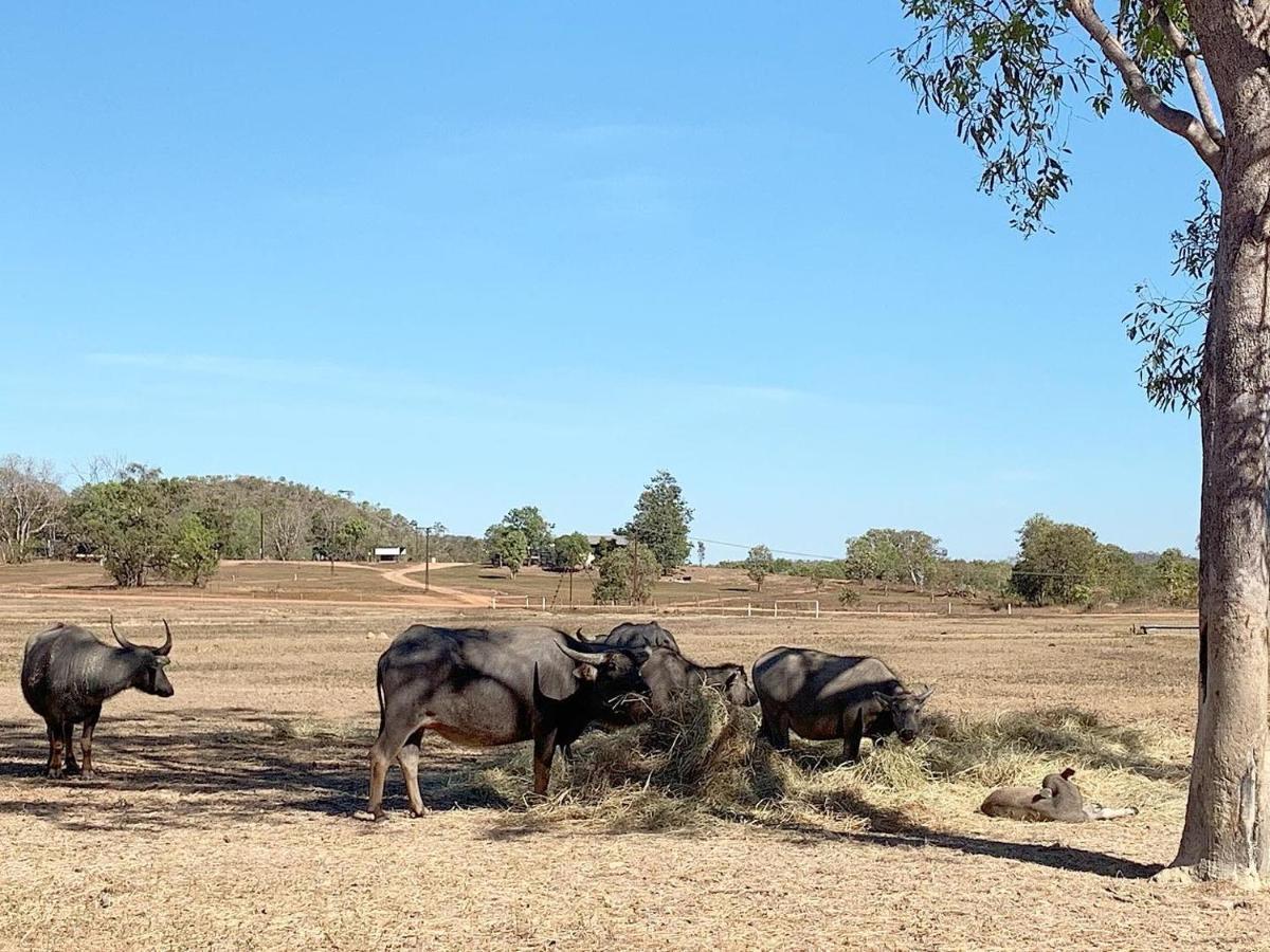 Mt Bundy Station Βίλα Batchelor Εξωτερικό φωτογραφία